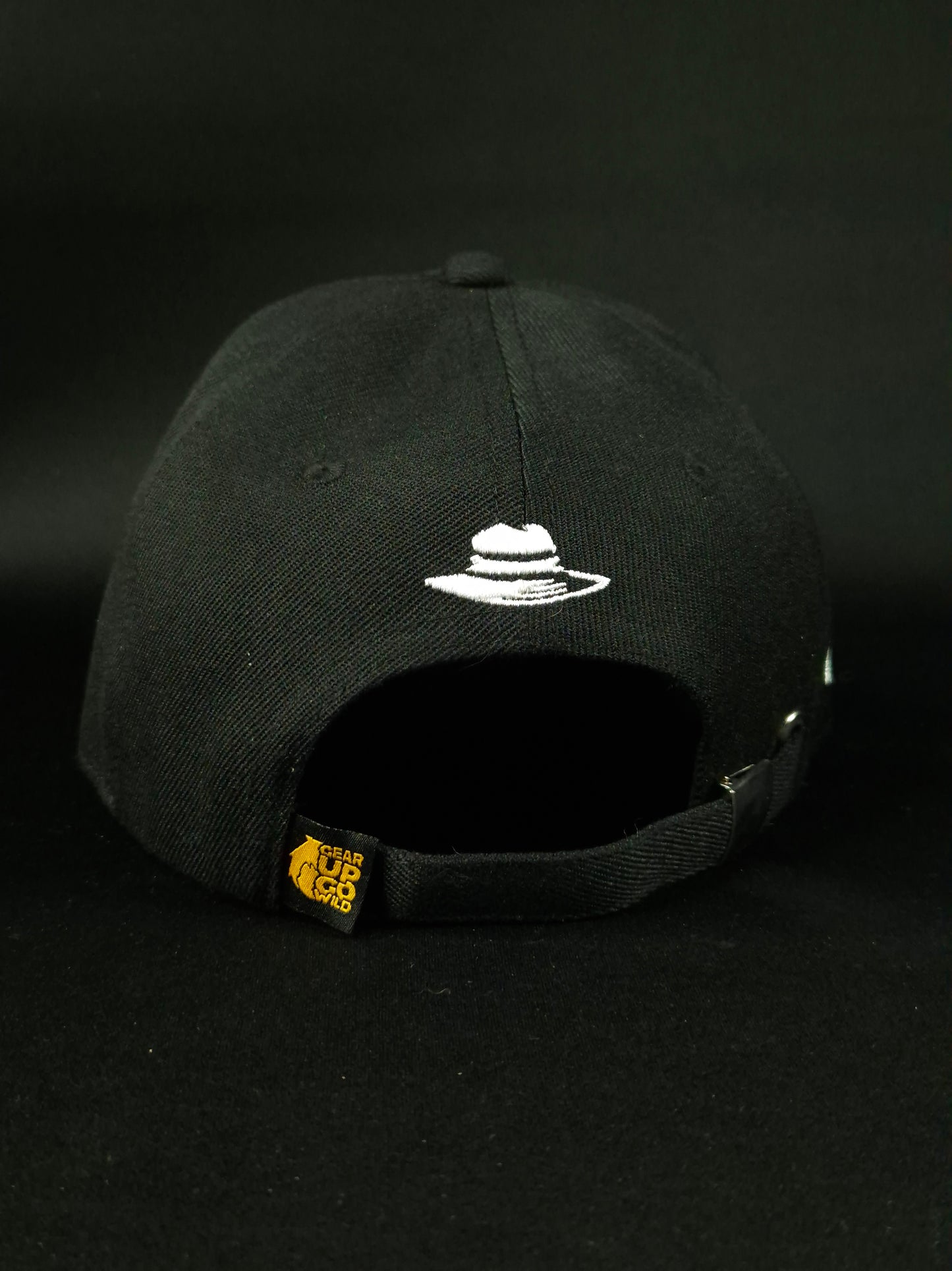 Curved visor cap Big logo