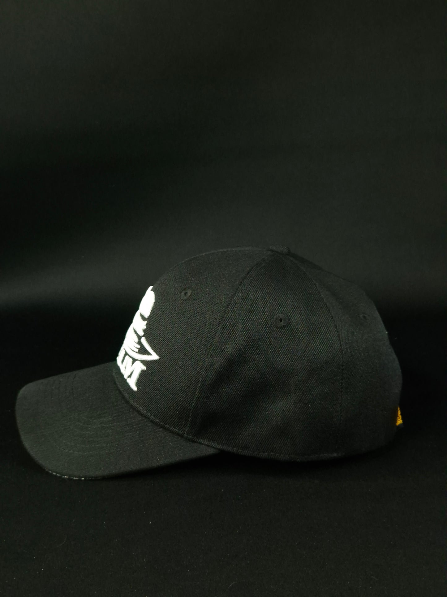 Curved visor cap Big logo
