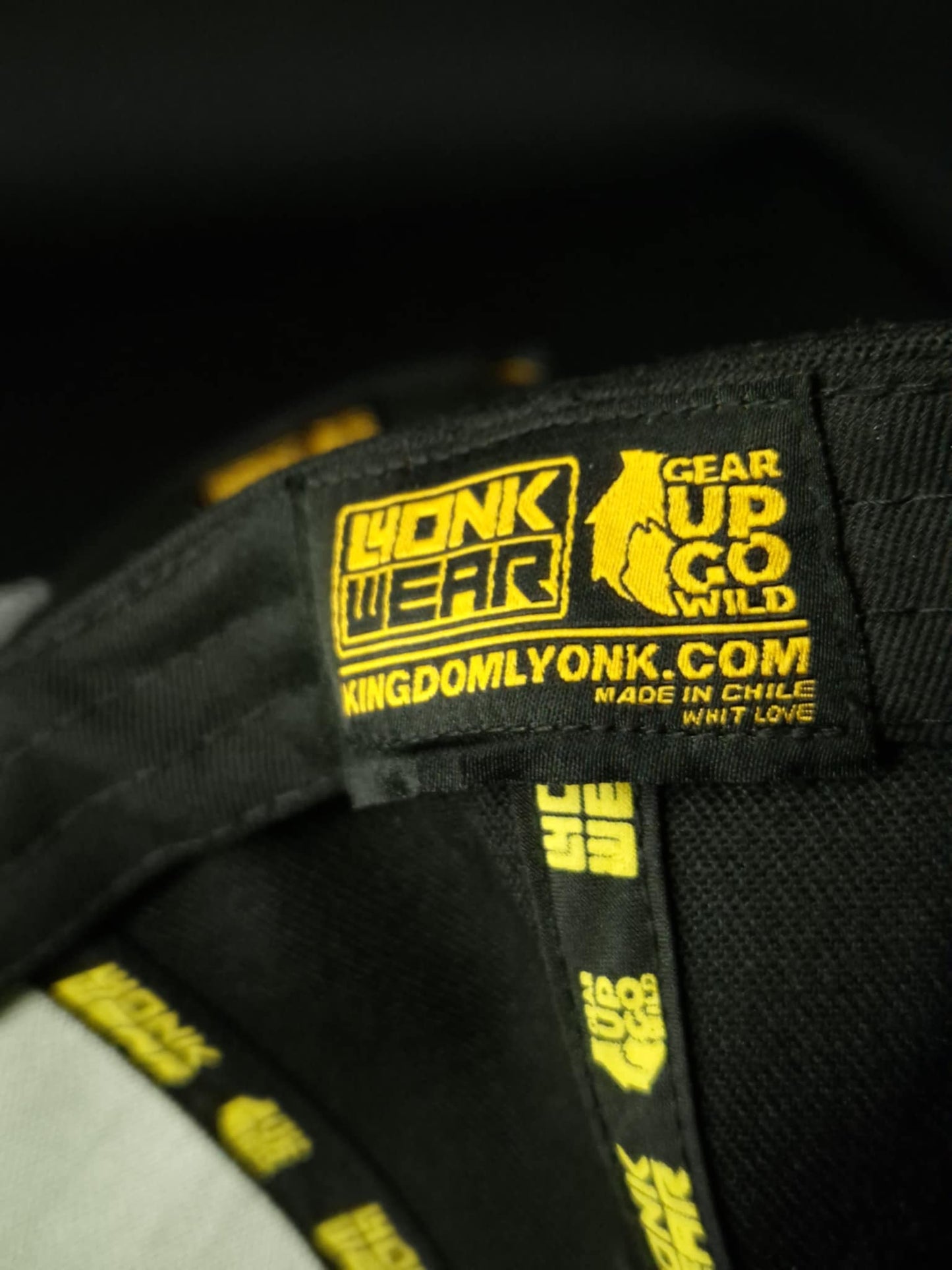 Curved visor cap Big logo