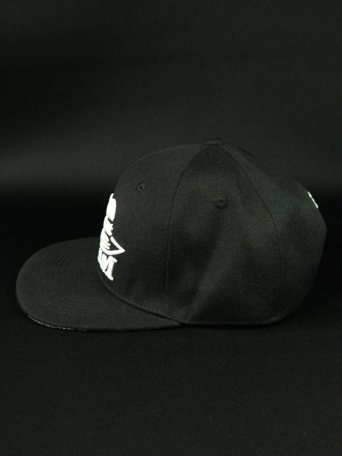 Snapback Big logo Embroidery White