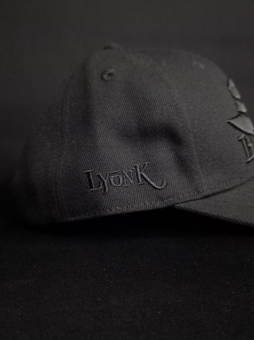 Curved visor cap Big logo Embroidery Black